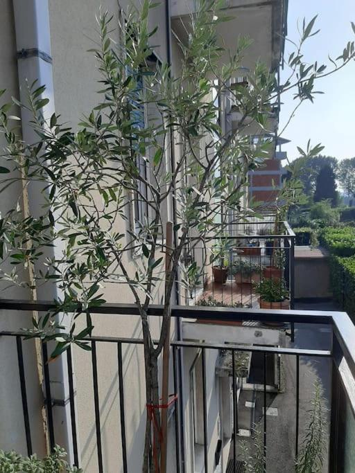 Apartamento Mice Ottima Soluzione Per Il Centro E La Svizzera Como Exterior foto